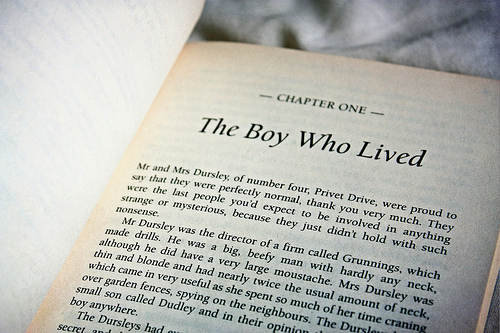 Harry Potter book